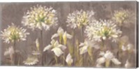 Spring Blossoms Neutral II Fine Art Print