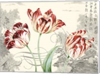 Imperial Tulips Fine Art Print