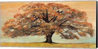 Oak Fine Art Print
