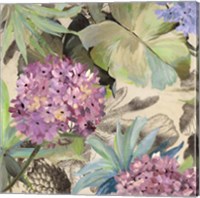 Pink Hydrangeas Fine Art Print