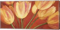 Orange Tulips Fine Art Print