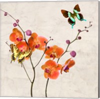 Orchids & Butterflies I Fine Art Print