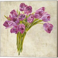 Bouquet de Tulipes Fine Art Print
