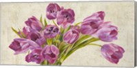 Tulipes II Fine Art Print