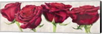 Rose Romantiche Fine Art Print