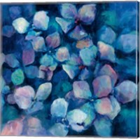Midnight Blue Hydrangeas Fine Art Print