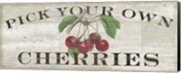 Farm Fresh Cherries Fine Art Print