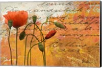 Poppies Composition I Fine Art Print