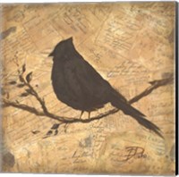 Bird Silhouette II Fine Art Print