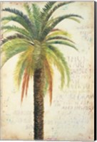 Palms & Scrolls II Fine Art Print