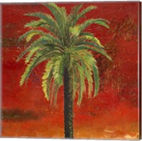 La Palma on Red III Fine Art Print