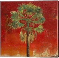 La Palma on Red IV Fine Art Print