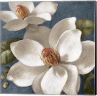 Magnolias on Blue I Fine Art Print