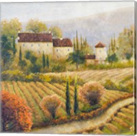 Tuscany Vineyard I Fine Art Print