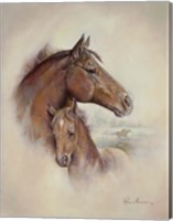 Race Horse II Fine Art Print
