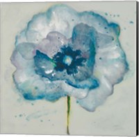 Flower in Blue II Fine Art Print