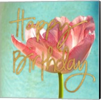 Pink Tulip Birthday Fine Art Print