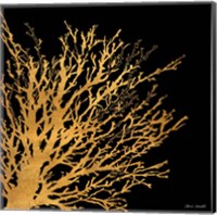 Coastal Coral on Black II Fine Art Print