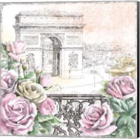 Paris Roses V Fine Art Print