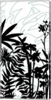 Rainforest Ferns I Fine Art Print