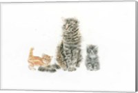 Cat and Kittens Fine Art Print