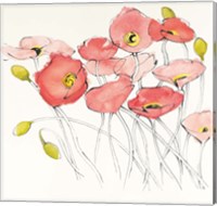 Black Line Poppies I Watercolor Fine Art Print