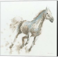 Stallion I Fine Art Print