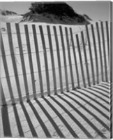 I.R. Fla Fence 2 Fine Art Print