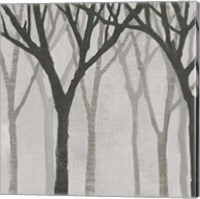 Spring Trees Greystone I Fine Art Print