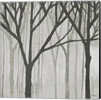 Spring Trees Greystone III Fine Art Print