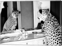 Cheetah Looking in Mirror Fine Art Print