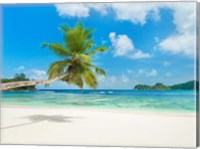 Tropical beach, Seychelles (detail) Fine Art Print