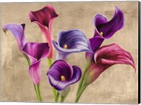 Multi-colored Callas Fine Art Print