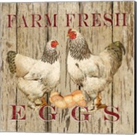 Farm Fresh Eggs II Fine Art Print