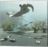 Animals And Floral Life From The Burgess Shale Formation Of The Cambrian Period Fine Art Print
