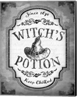 Witch's Potion Fine Art Print