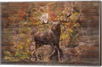 Moose Meadow Fine Art Print