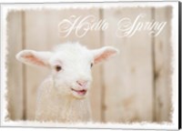 Hello Spring Lamb Fine Art Print