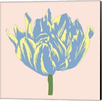 Soho Tulip I Fine Art Print