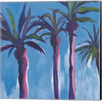 Palm Trees Morocco with Pink Fine Art Print