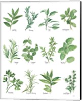 Herb Chart Fine Art Print