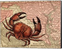 Maryland's Jumbo Crabs Fine Art Print