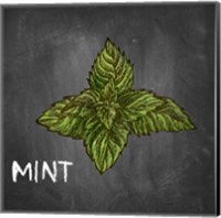 Mint on Chalkboard Fine Art Print