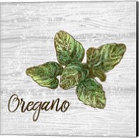 Oregano on Wood Fine Art Print