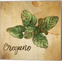 Oregano on Burlap Fine Art Print