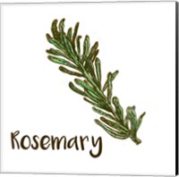 Rosemary Fine Art Print