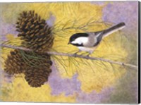 Chickadee in the Pines II Fine Art Print