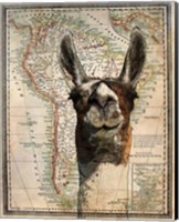 South America Llama Map Fine Art Print