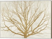 Golden Tree Fine Art Print