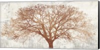 Tree of Bronze Fine Art Print